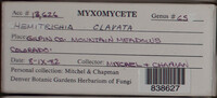 Image Associated With the Occurence